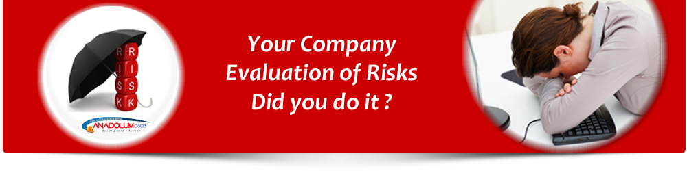 risk analizi